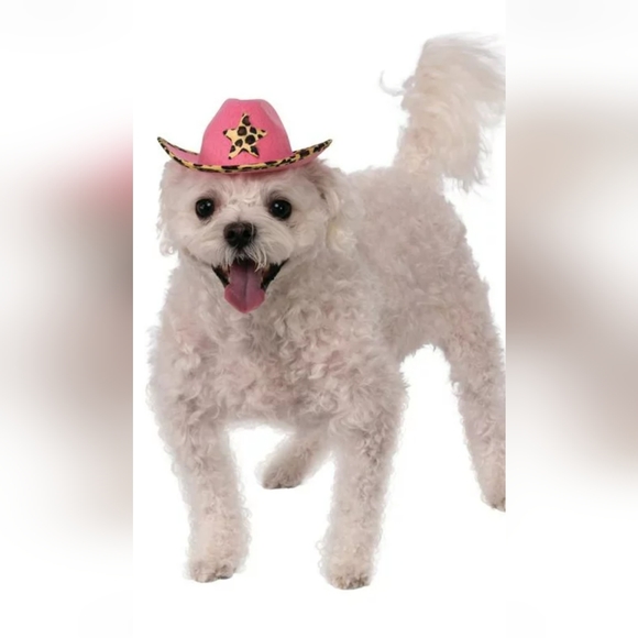 New Pink Cowboy Hat - Picture 1 of 6